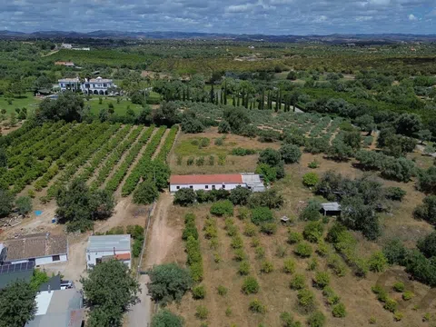 Quinta